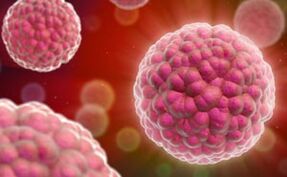 príznaky a liečba ľudského papilomavírusu